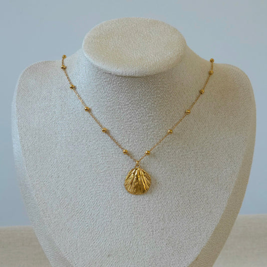 Necklace Isla Shell